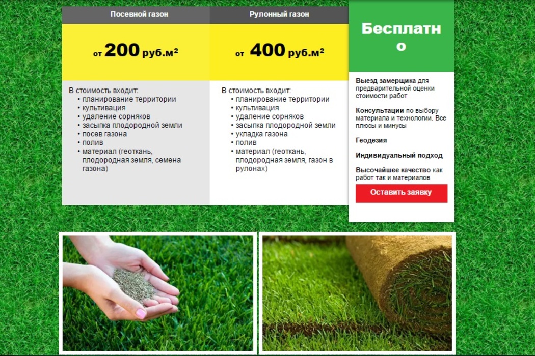 В какое время сажают газон 844
